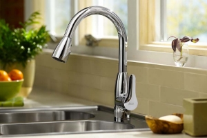 Picture for category Kitchen Faucets