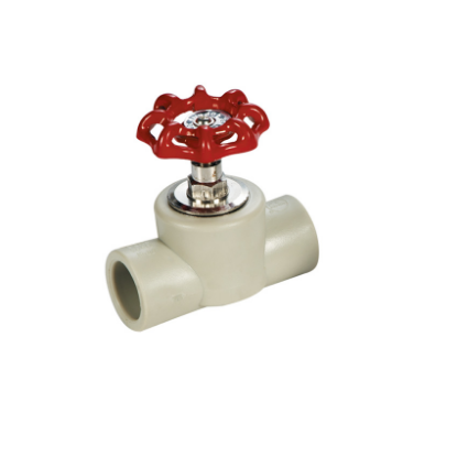 Picture of Royu Gate Valve RPPGV25