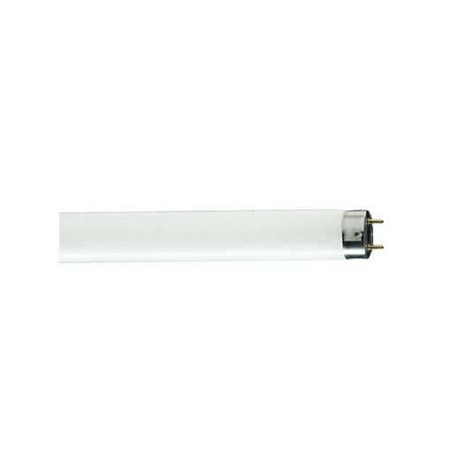 Picture of Linear Fluorescent Lamps