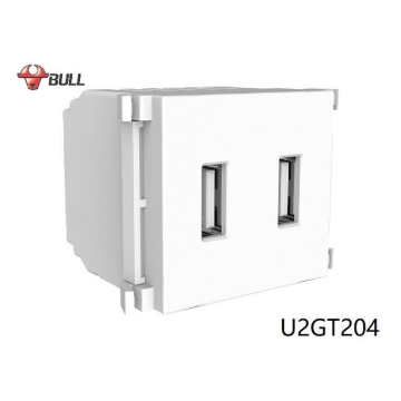 Show details for Bull 2 Gang USB Outlet (White), U2GT204 Picture of Bull 2 Gang USB Outlet (White), U2GT204