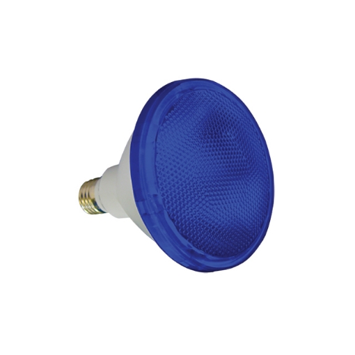 Omni LED Par 30 Lamps 10W