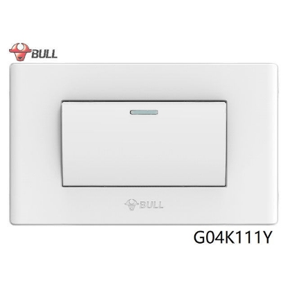 Picture of Bull 1 Gang 1 Way Switch Set (White), G04K111Y