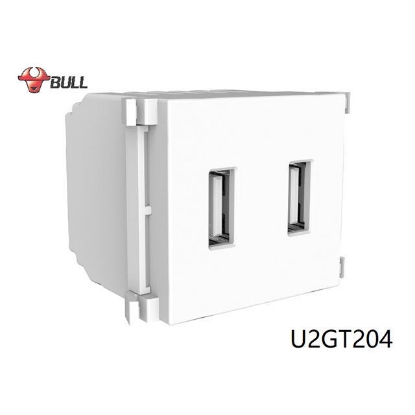 Picture of Bull 2 Gang USB Outlet (White), U2GT204