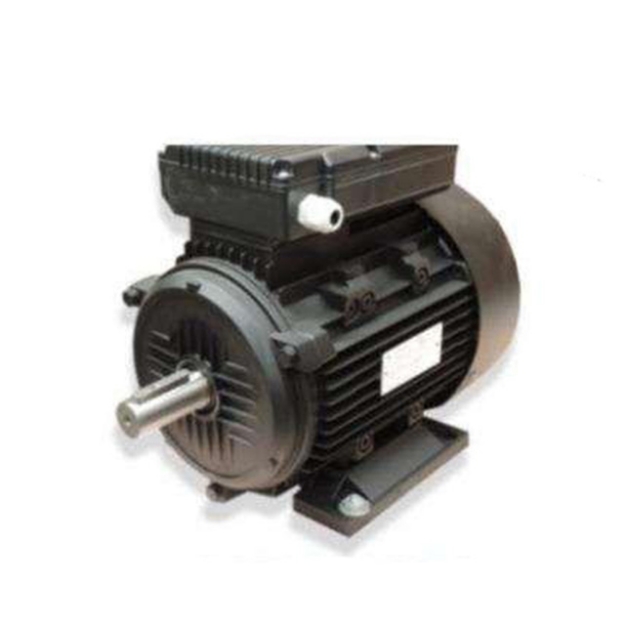 Picture of ARMADA Electric Motor Single Phase DL Series - DLYL802-4