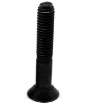 Picture of ALLEN FLAT HEAD SOCKET SCREWS (AFH)